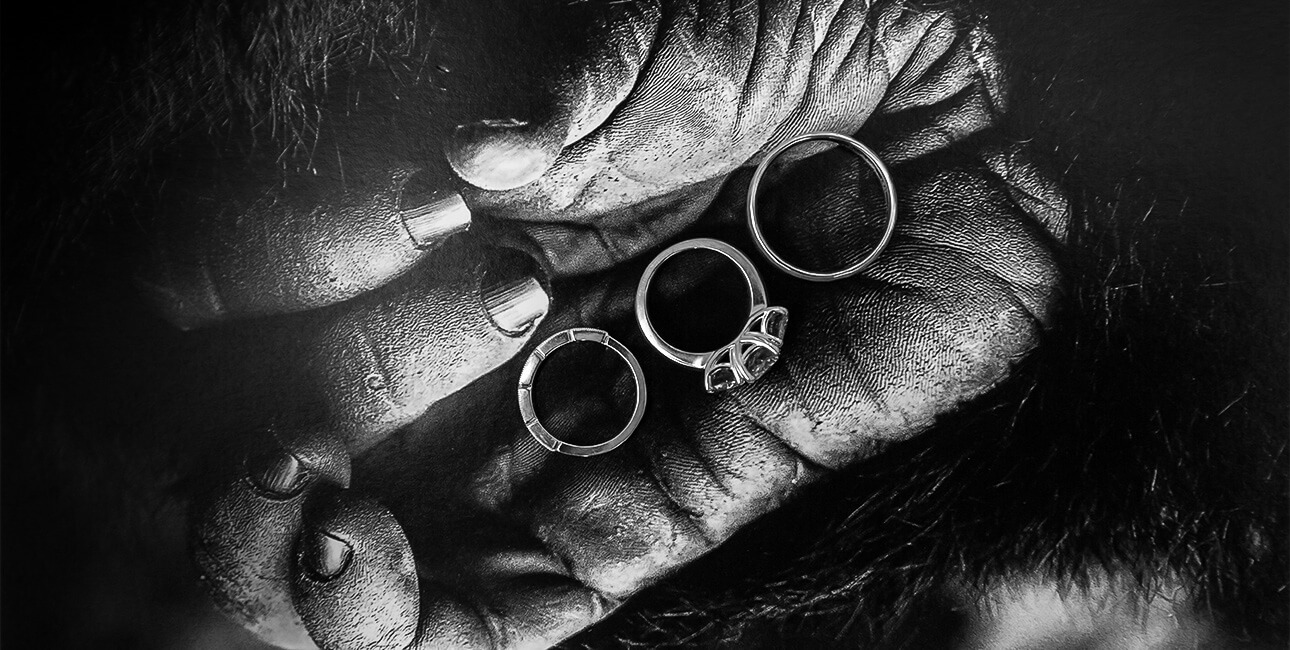 Winner small image - Photoshots Limited